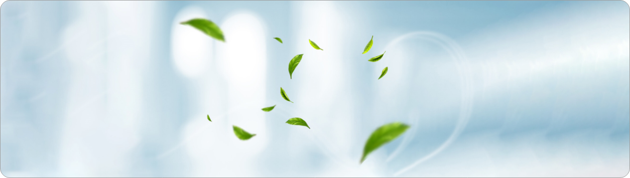 Máy lọc không khí 