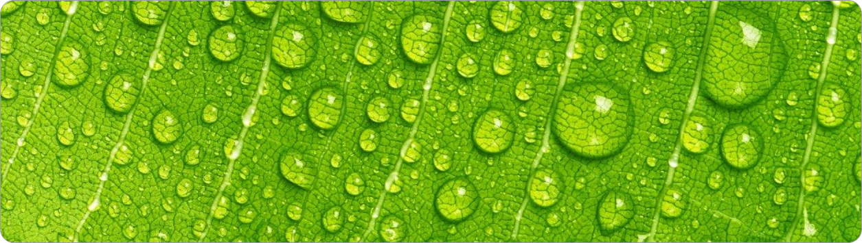 Máy lọc nước tích hợp nóng lạnh Korihome